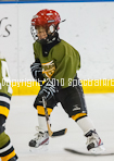 Newark Player Pictures
